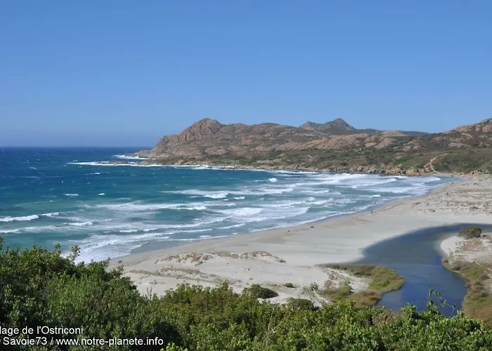 F2 Dans Joli Village Corse Apartment *